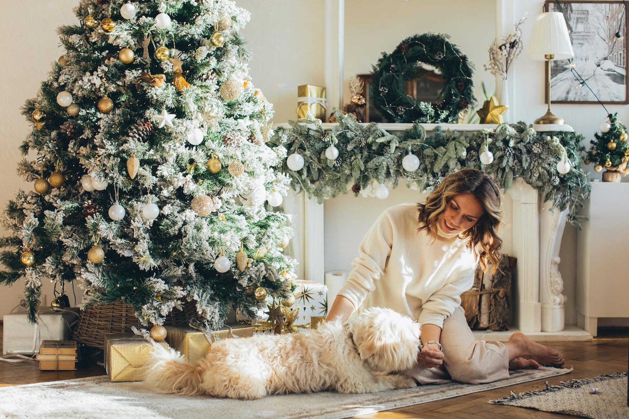 Pets and the Holidays: Making the Season Safe and Joyful for ALL Family Members