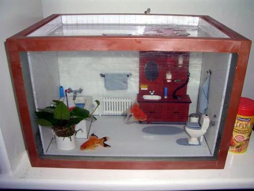 Aquarium Decor
