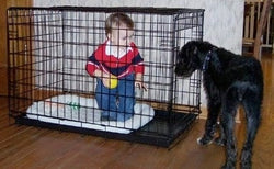 Dog Crates Gates & Pens