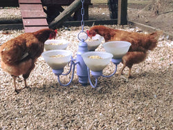 Chicken Feeders & Waterers