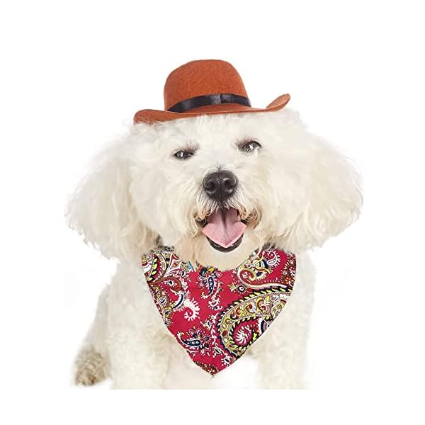 Dog Bandanas & Neckties