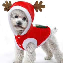 Holiday Pet Hoodies