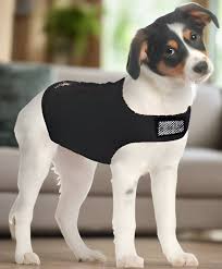 Dog Compression Shirts