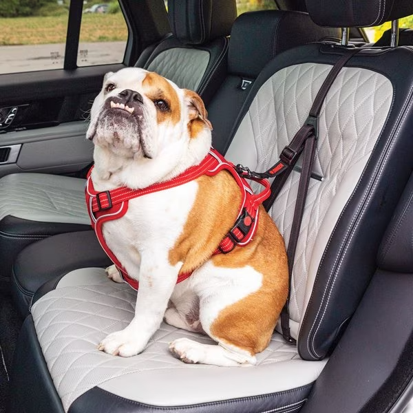 Dog Travel Harnesses & Seat Belts