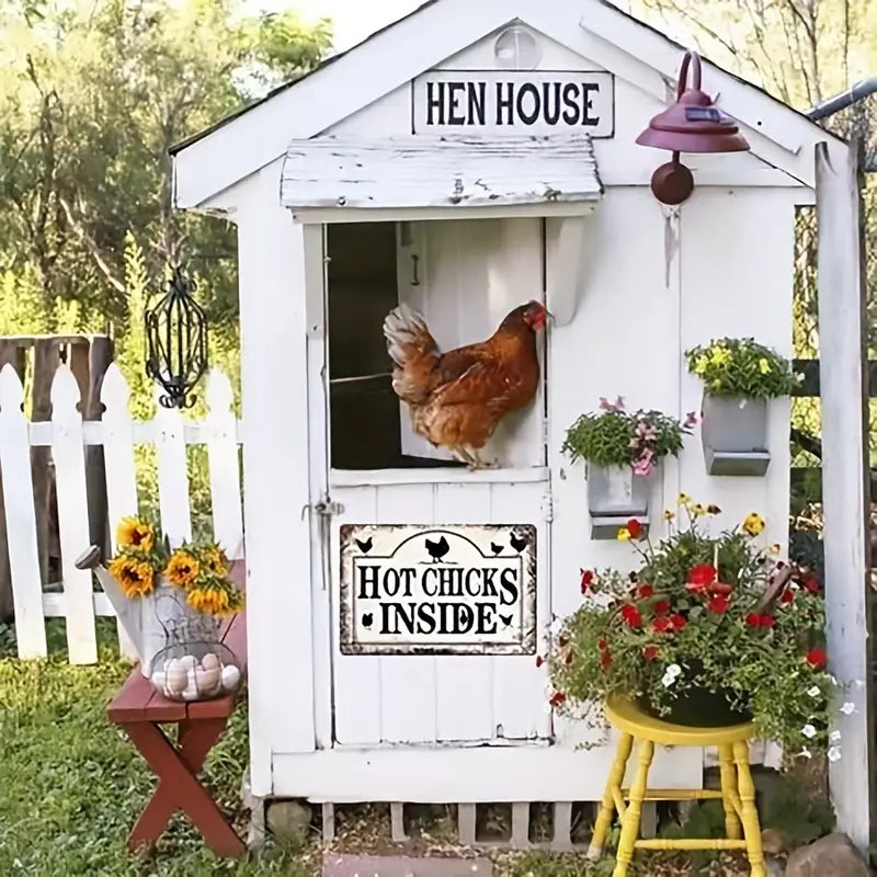 Chicken Brooders Coops & Runs