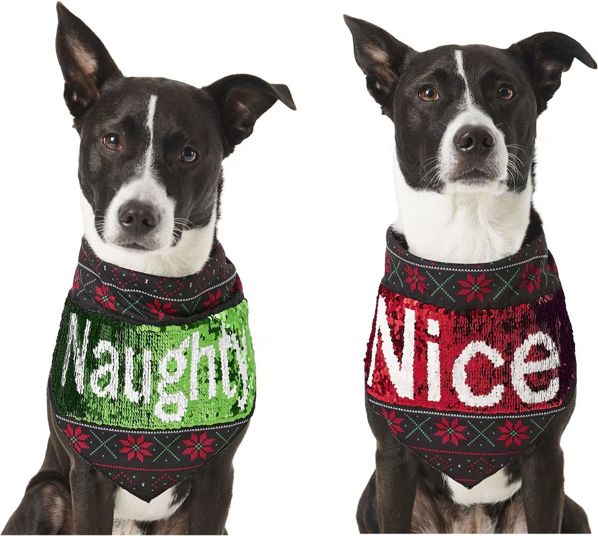 Holiday Bandanas & Neckties