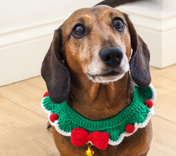 Holiday Pet Collars & Leashes