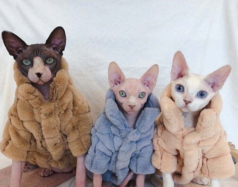 Cat Skin & Coat