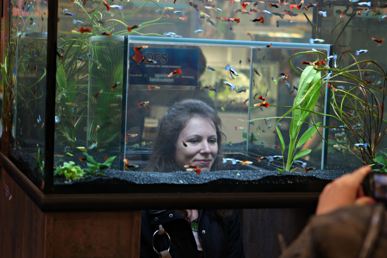 Aquariums & Terrariums