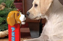 Dog Treat Dispensers