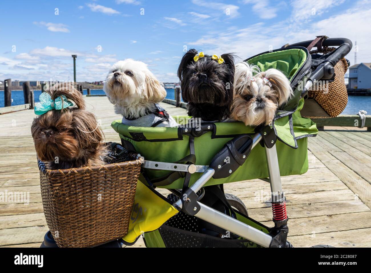 Pet Strollers
