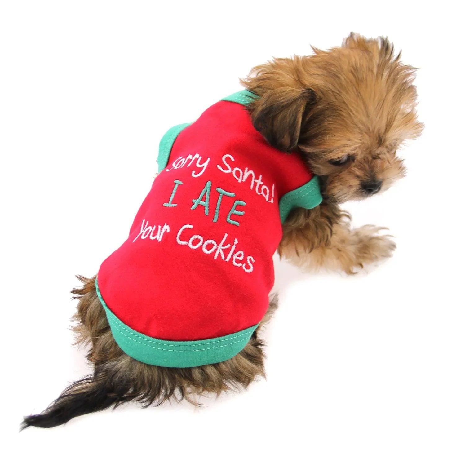 Holiday Pet Shirts