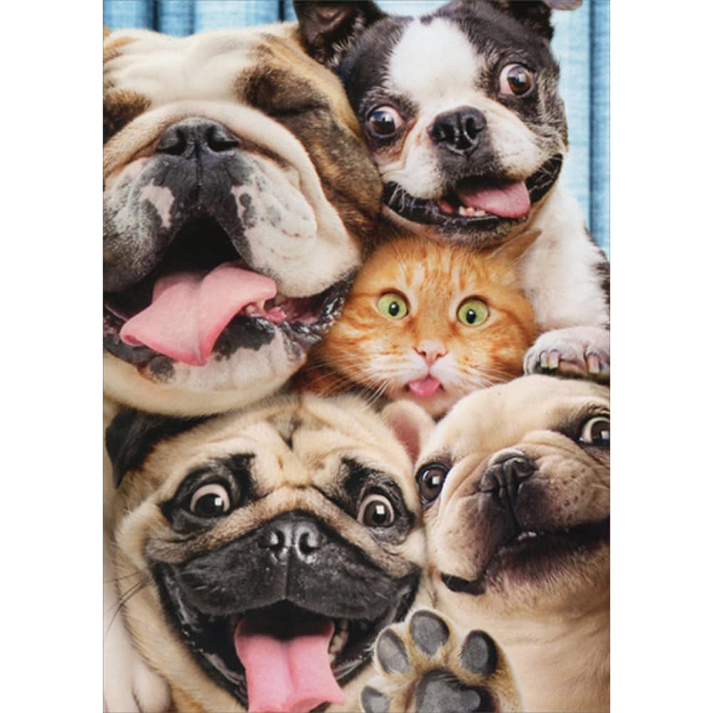 Avanti Dog & Cat Photo Booth Fun Greeting Card