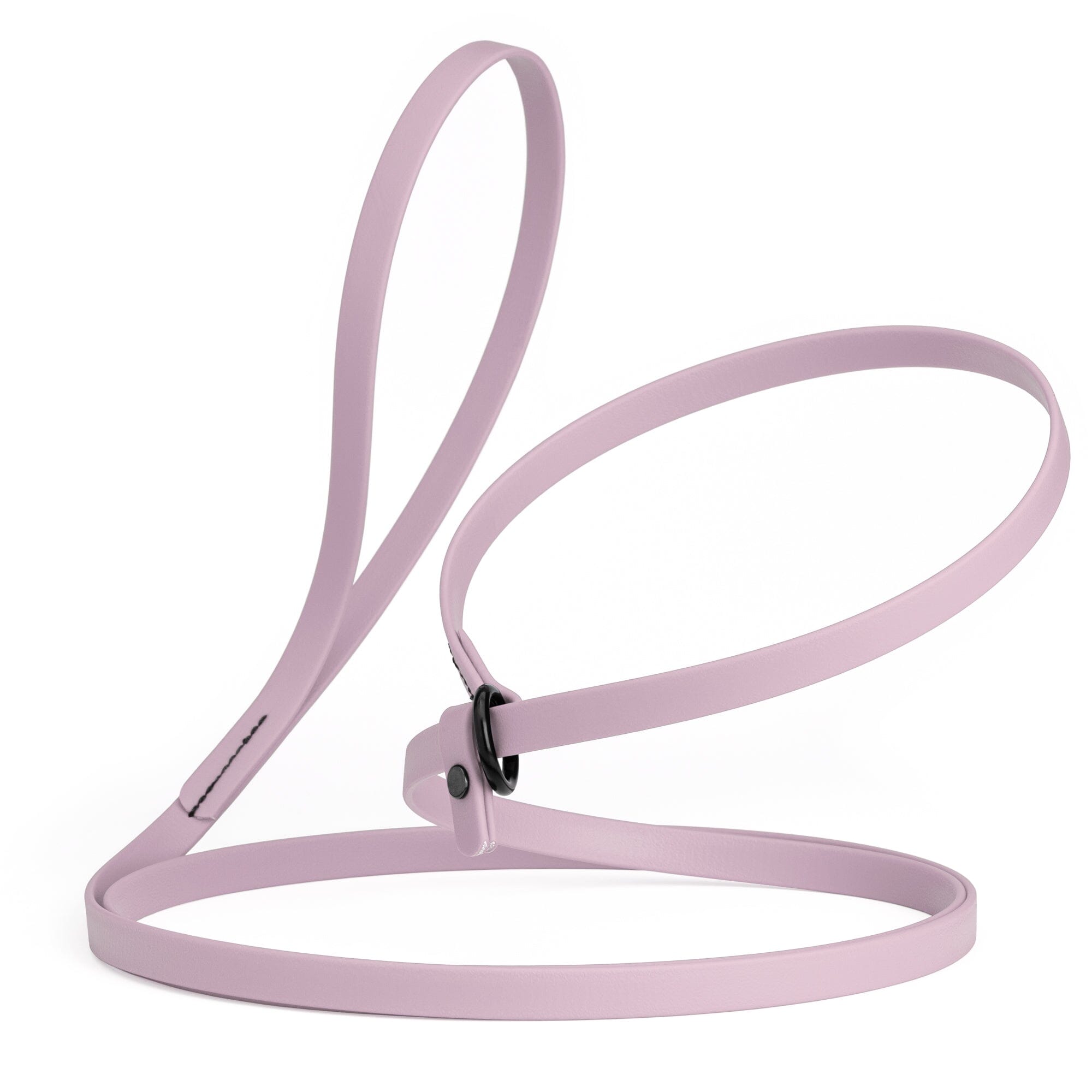 Biothane Slip Lead for Dogs, 5FT and 7FT