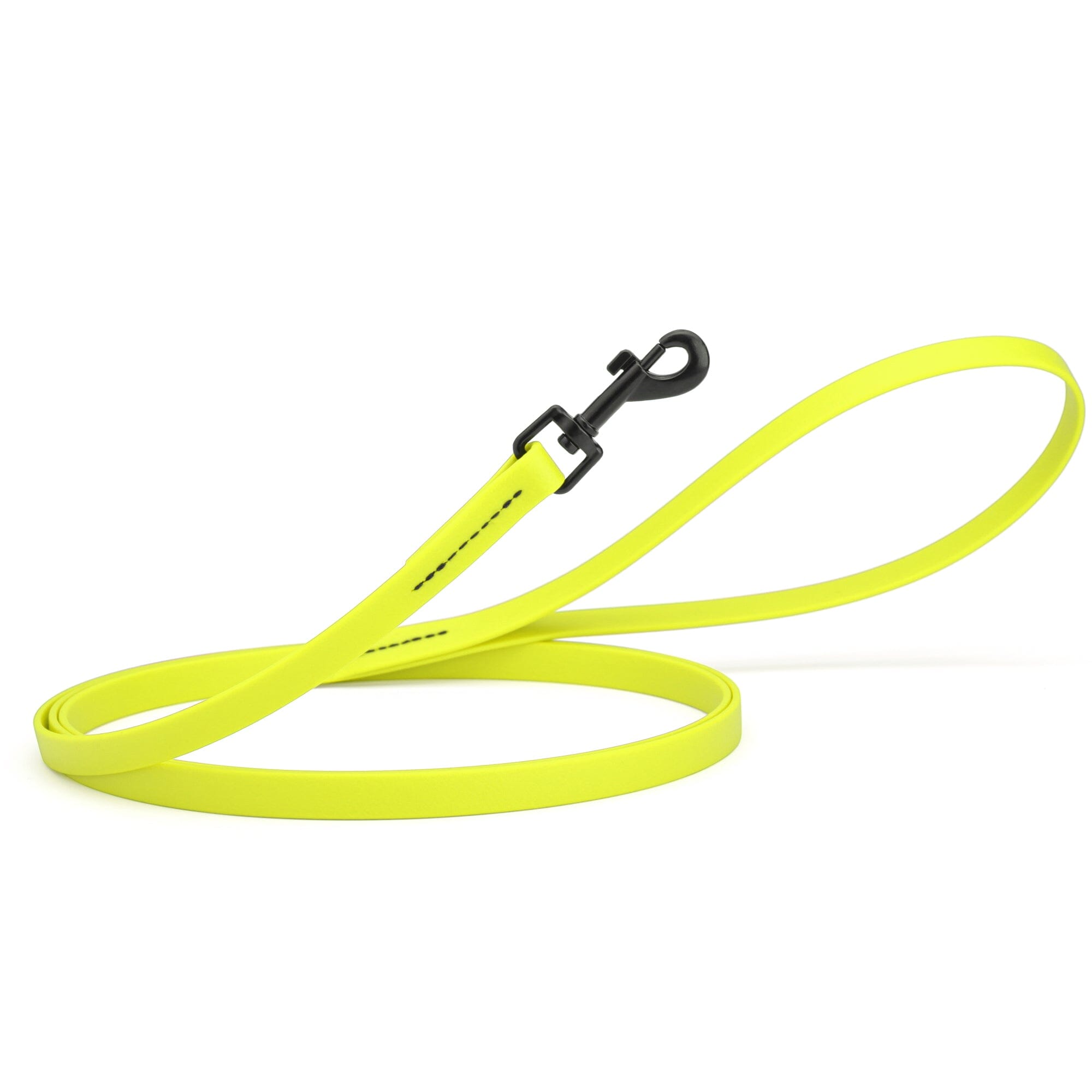 Biothane Waterproof Dog Leash, 4 ft