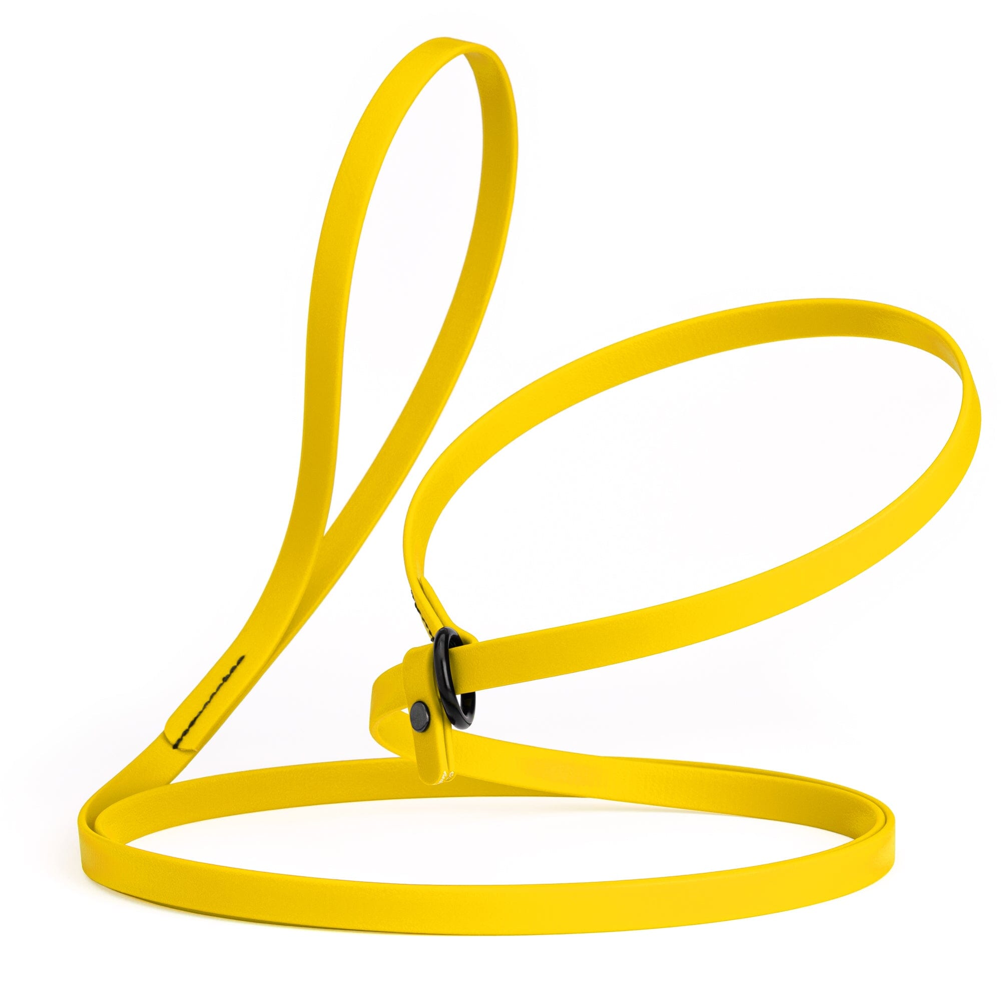 Biothane Slip Lead for Dogs, 5FT and 7FT