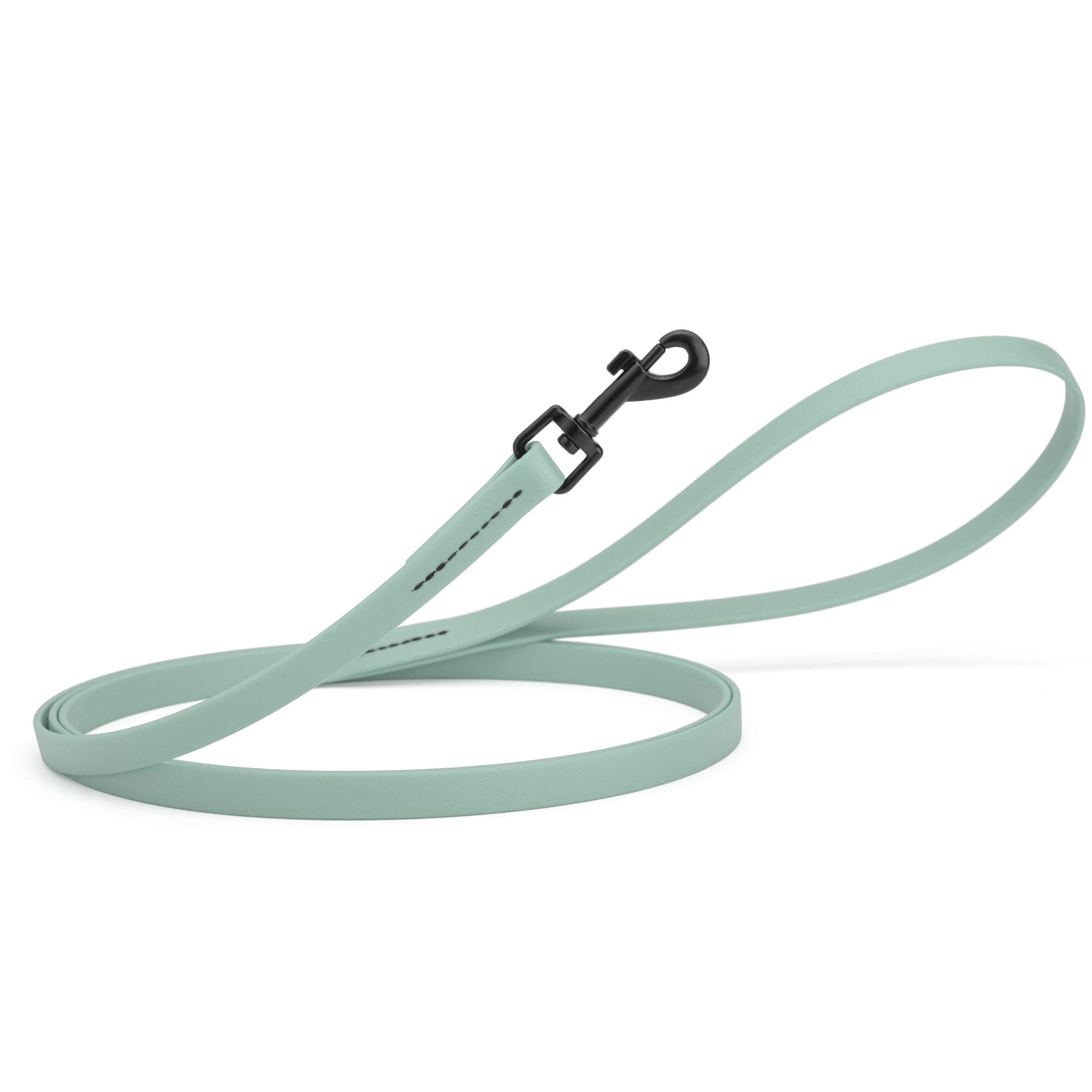 Biothane Waterproof Dog Leash 6 ft