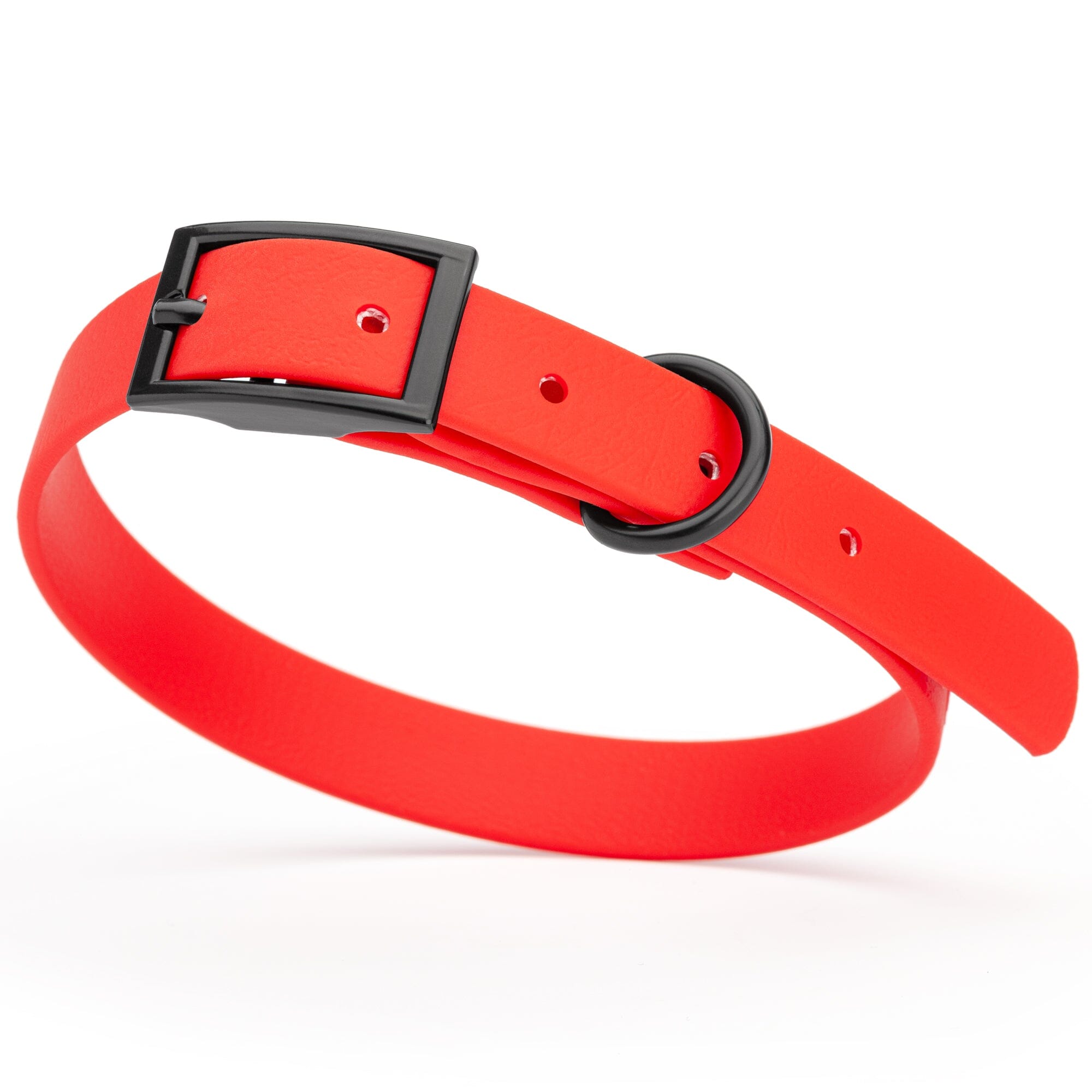 Biothane Waterproof Dog Collar - Small (12 to 15 inches)