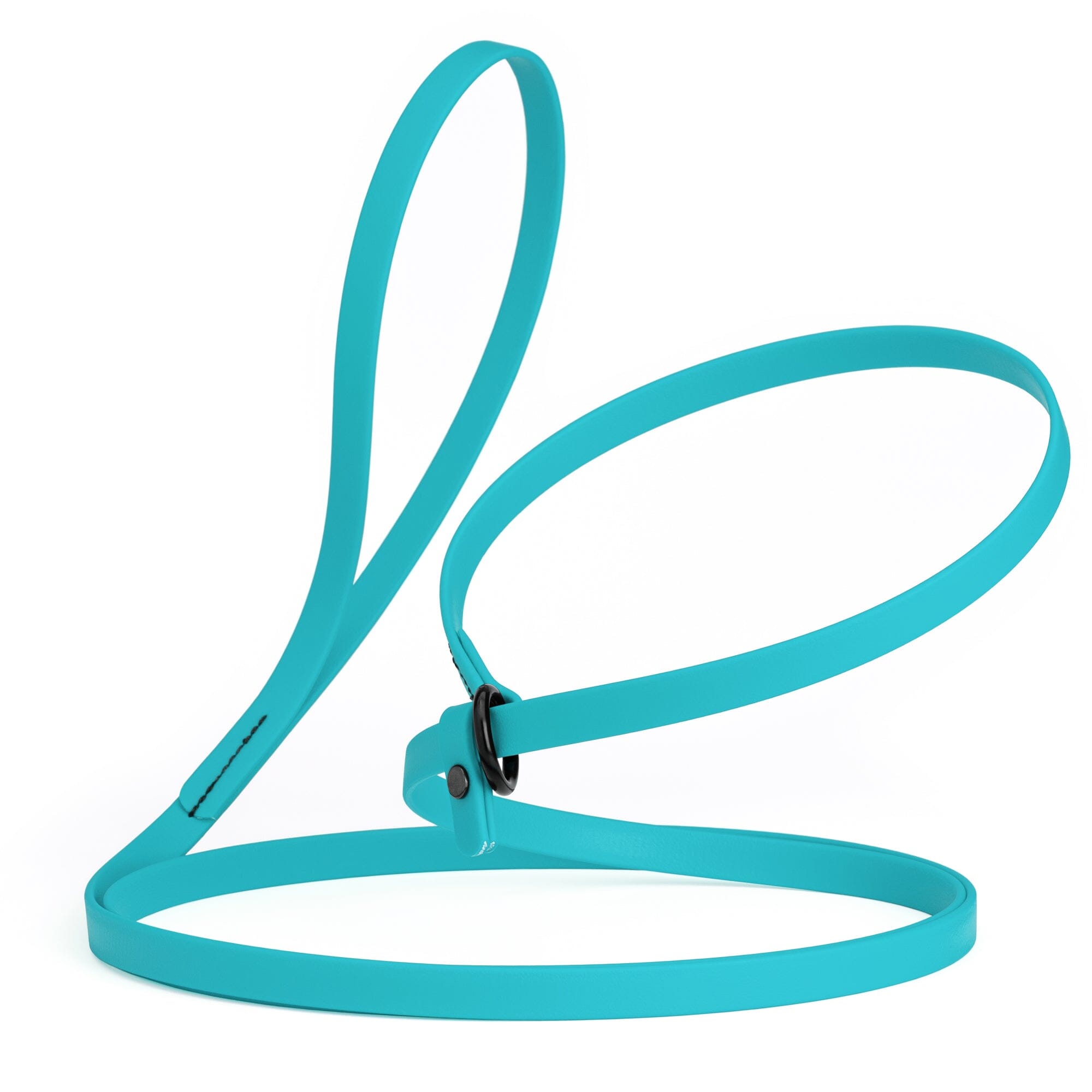 Biothane Slip Lead for Dogs, 5FT and 7FT