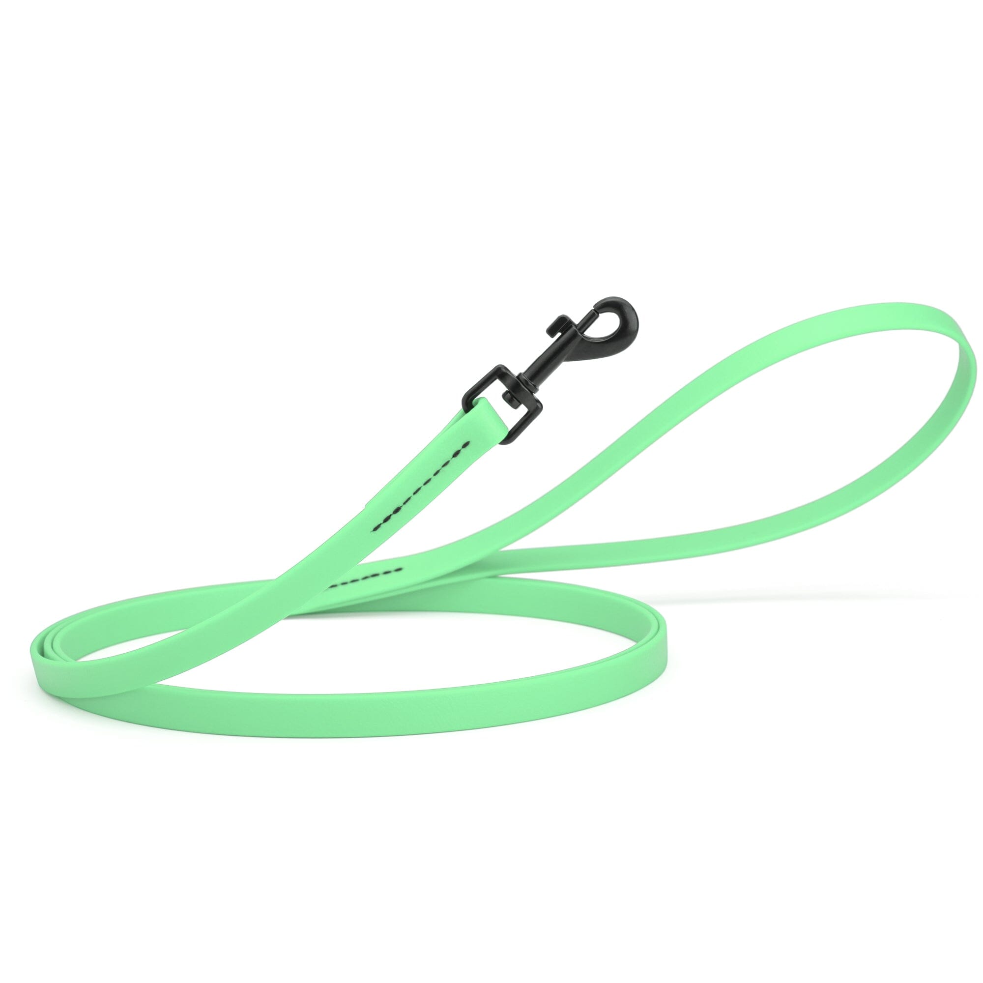 Biothane Waterproof Dog Leash 6 ft
