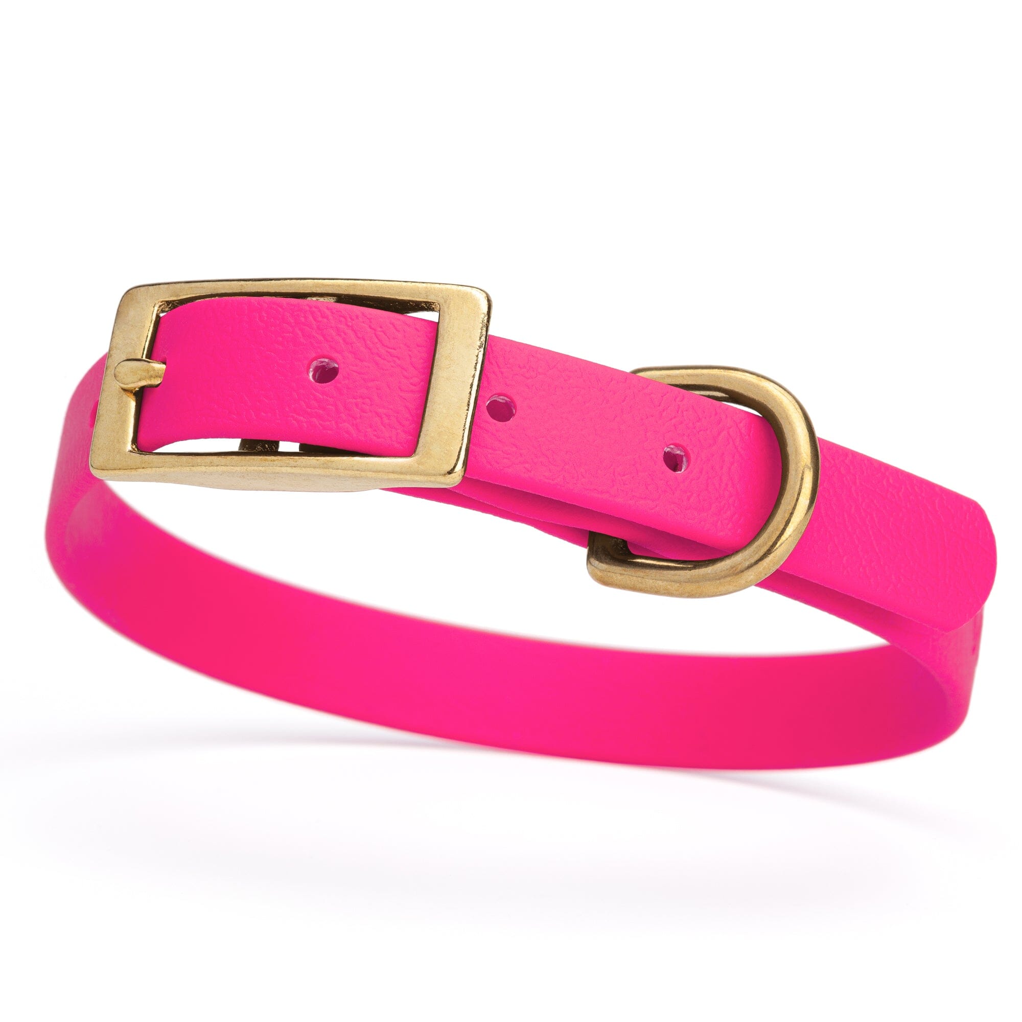 Viper Biothane Waterproof Dog Collar - Brass Hardware - Size S (12" - 15")