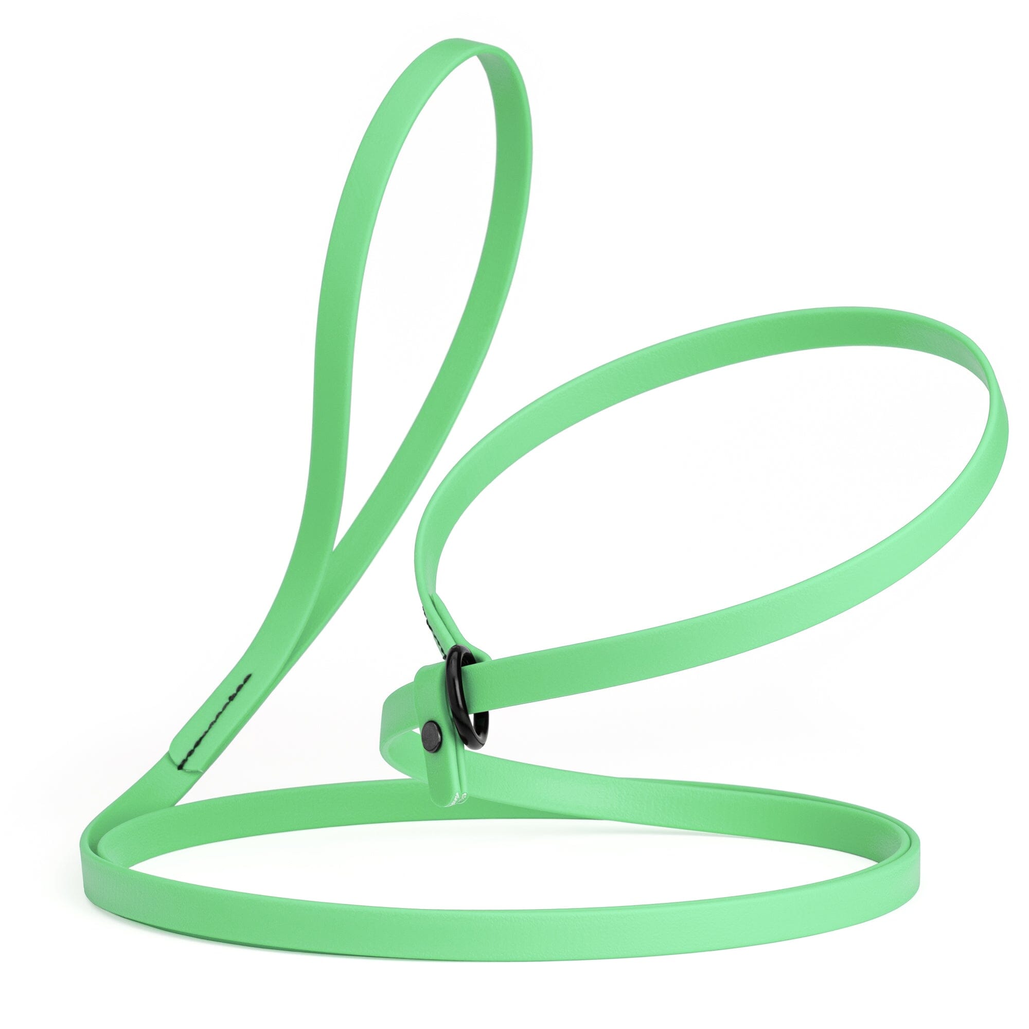 Biothane Slip Lead for Dogs, 5FT and 7FT