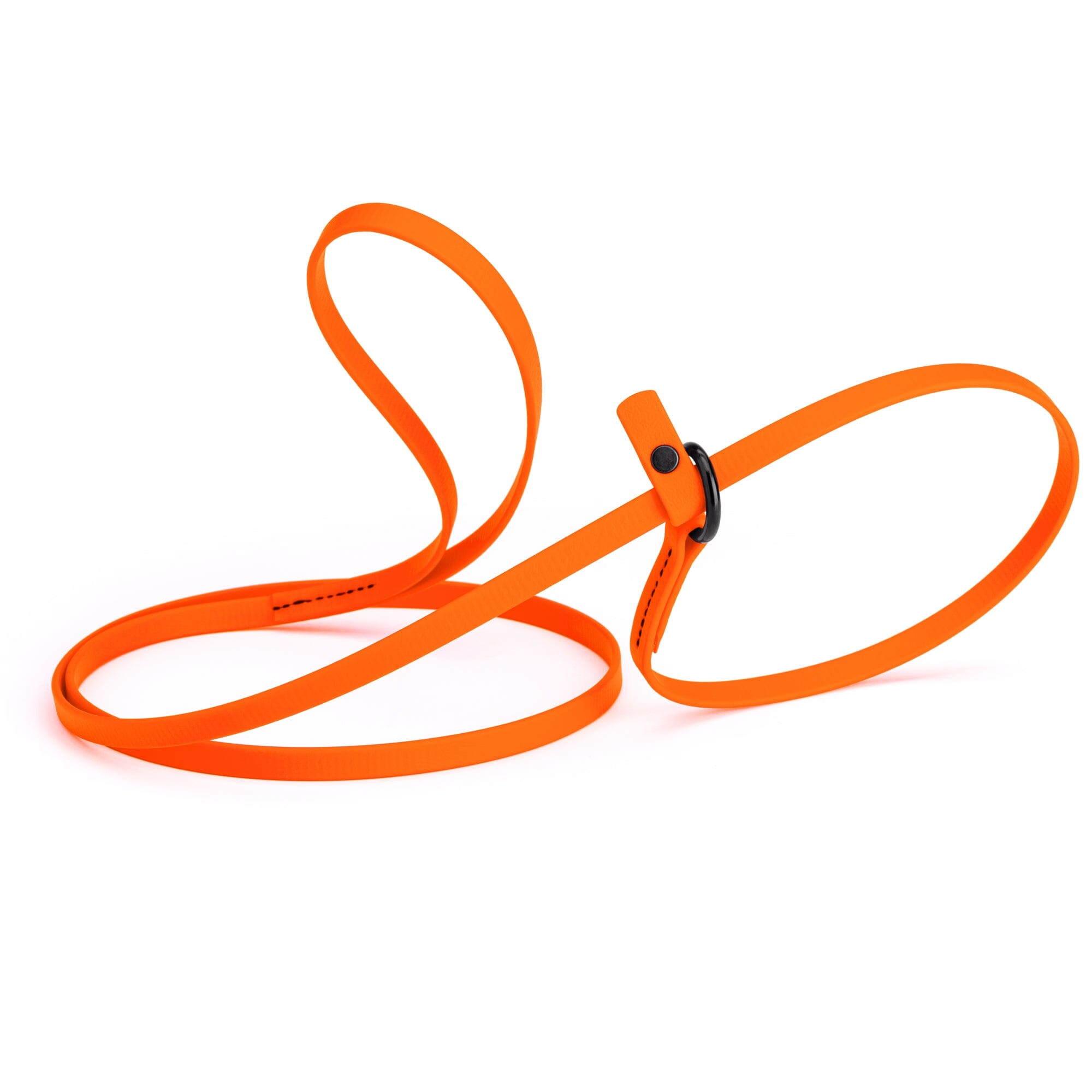 Biothane Slip Lead for Dogs, 5FT and 7FT