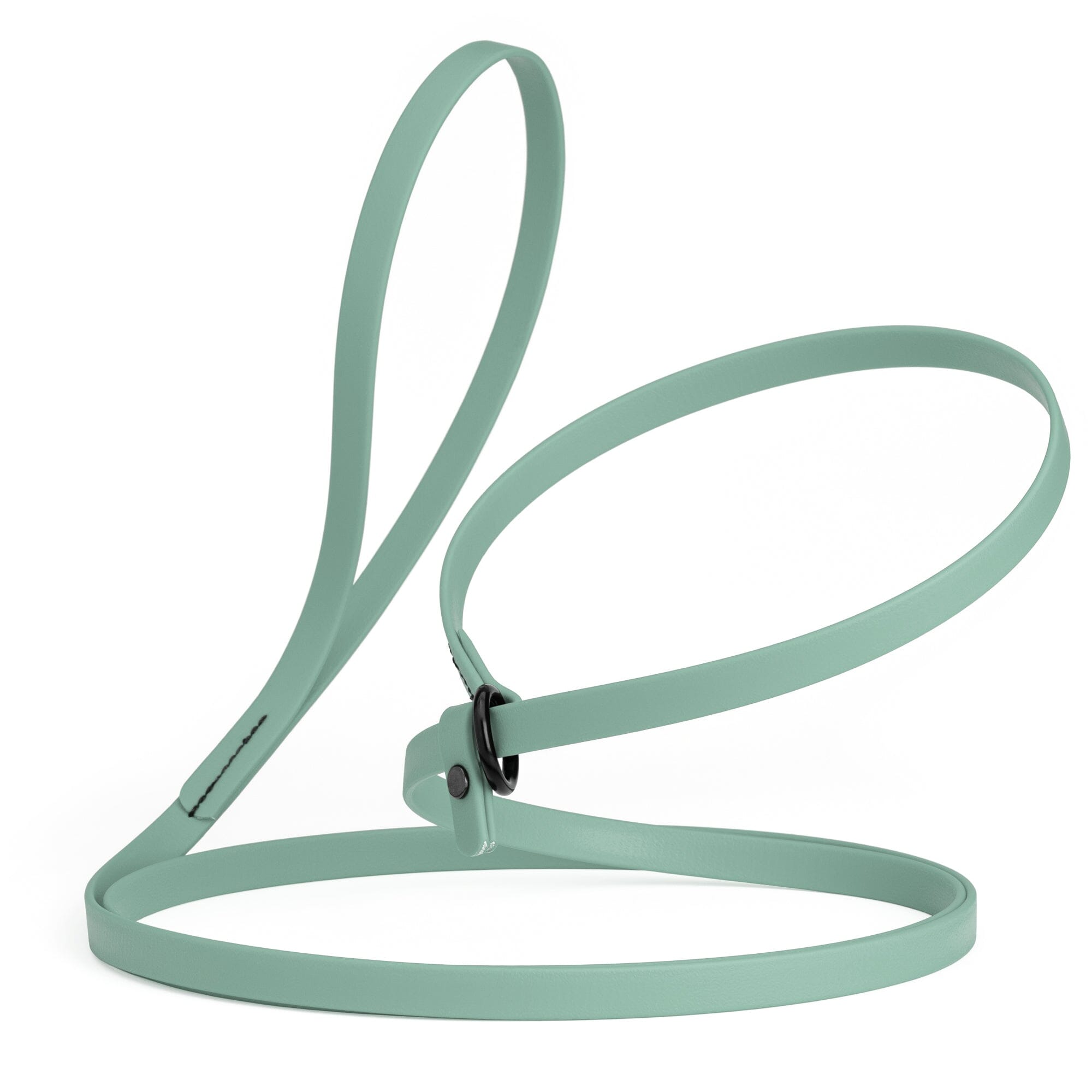 Biothane Slip Lead for Dogs, 5FT and 7FT