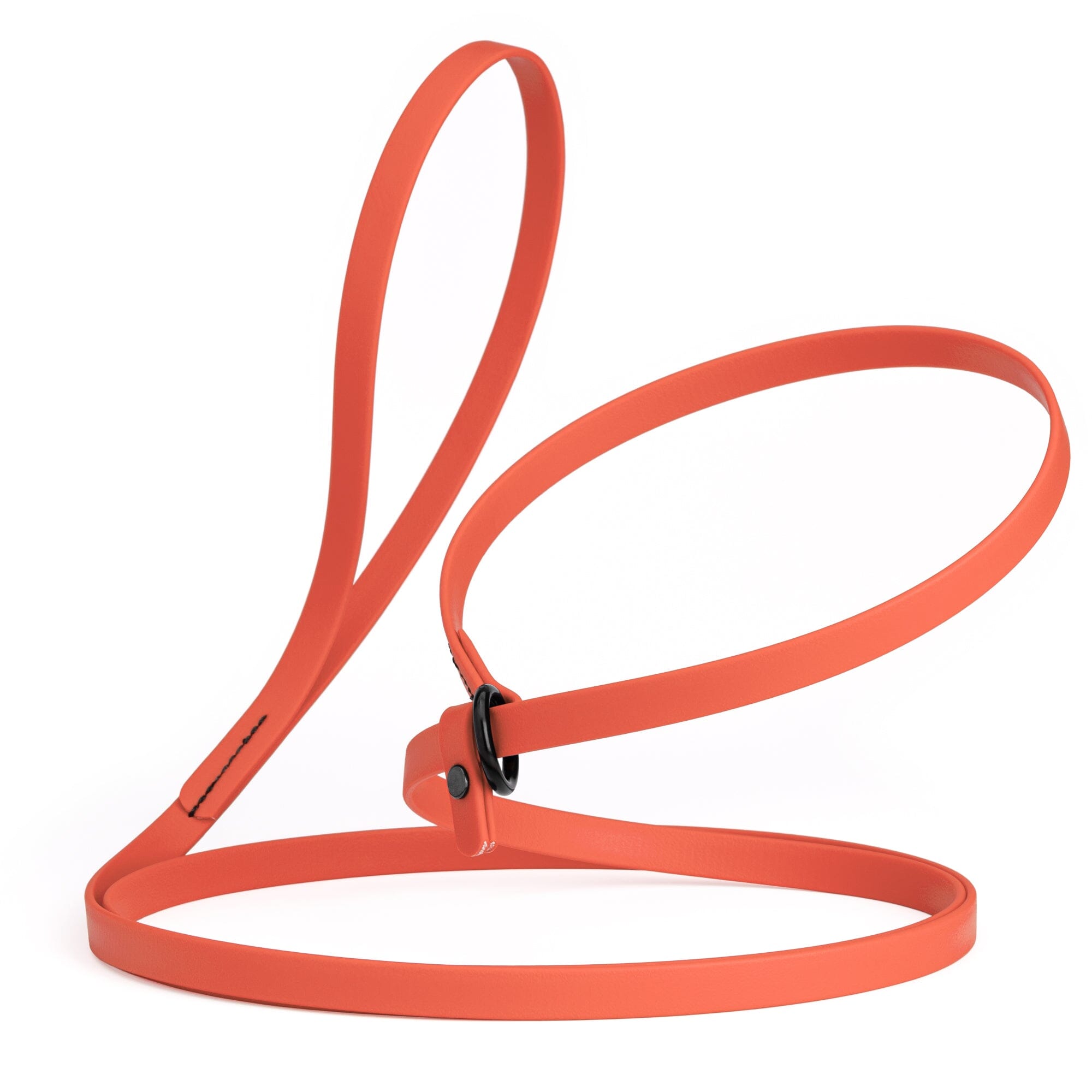 Biothane Slip Lead for Dogs, 5FT and 7FT