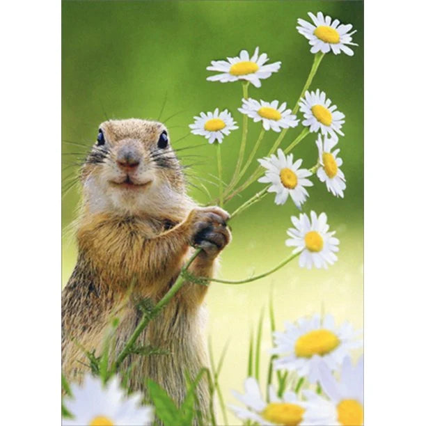 Avanti Squirrel Holding Flowers Greeting Card