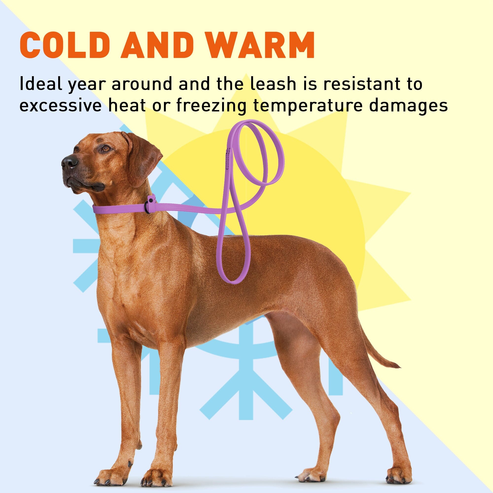 Biothane Slip Lead for Dogs, 5FT and 7FT