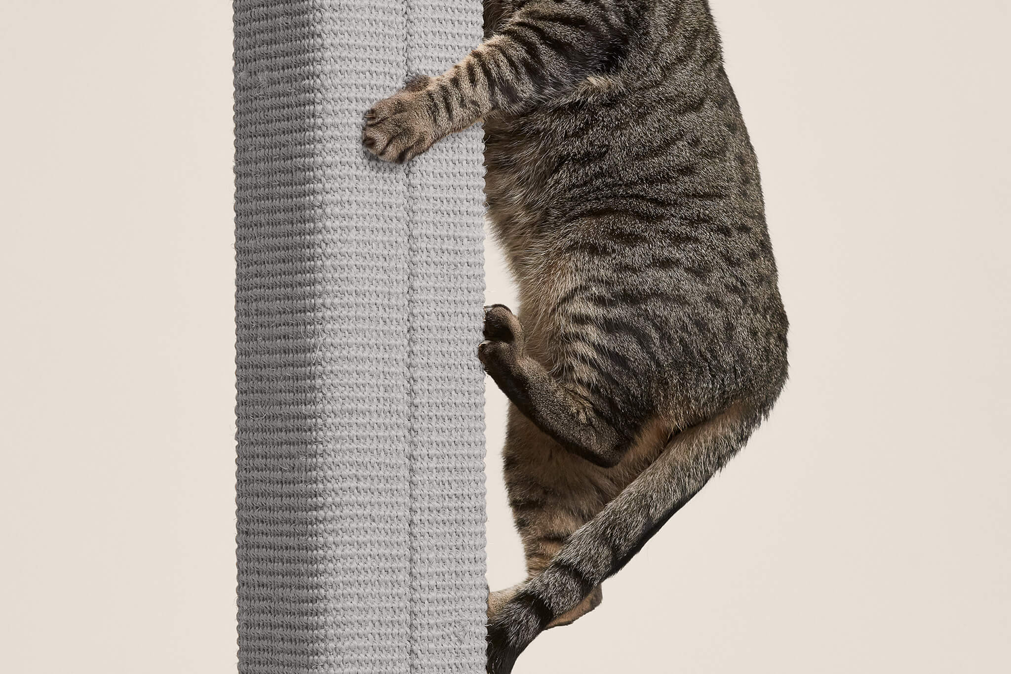 Zip Scratching Post