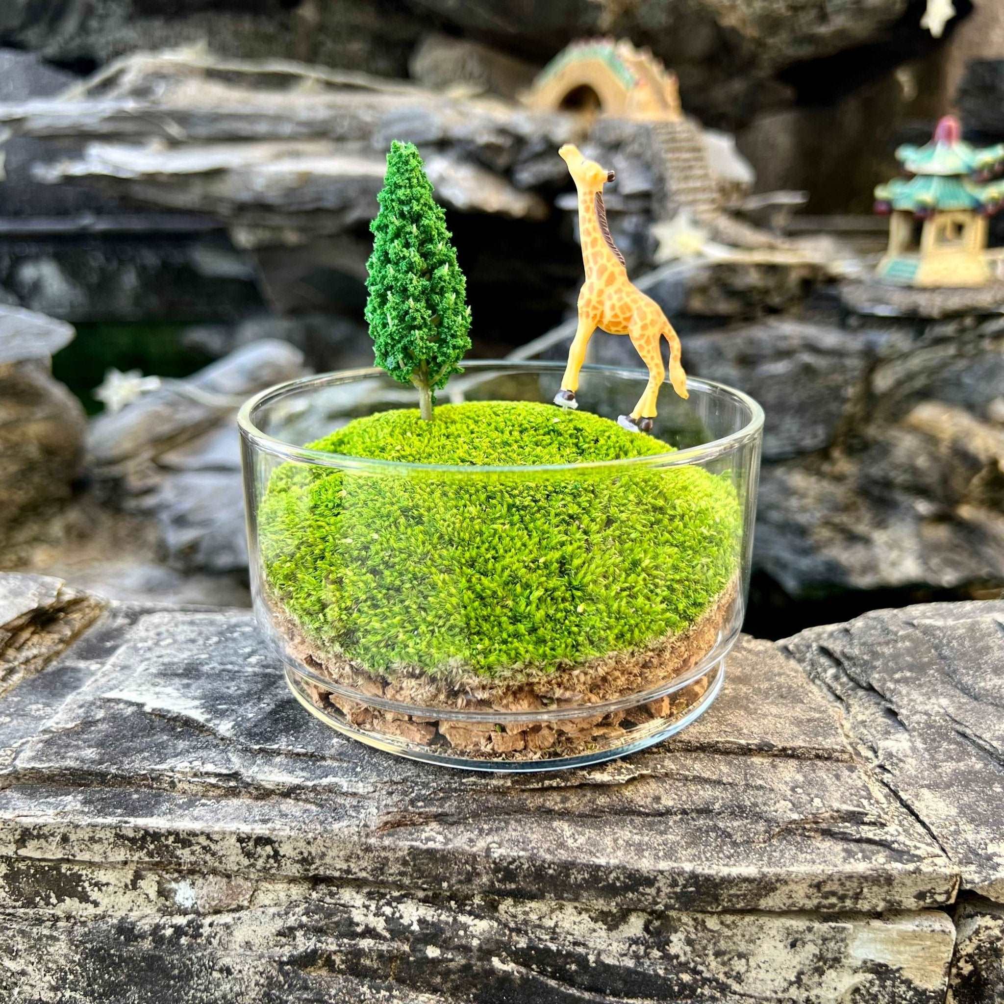 Handmade Terrarium Mini Giraffe Desktop Decoration Micro Landscape Lawn Handmade Preserved Moss Art Handcrafted Glass Container