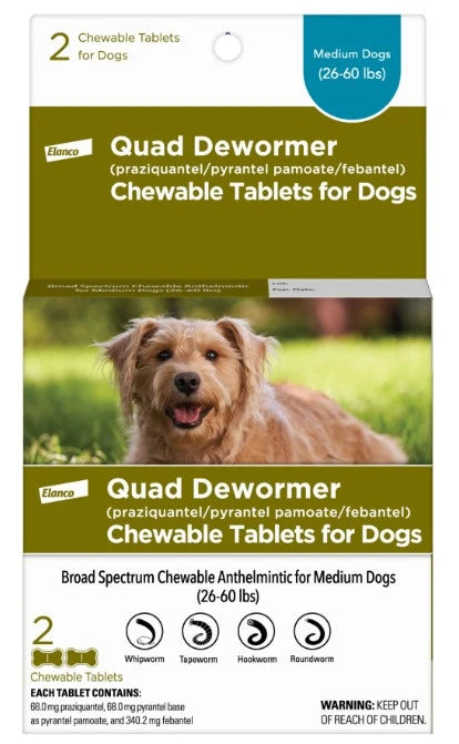 Bayer Quad Dewormer Medium Dog 2ct