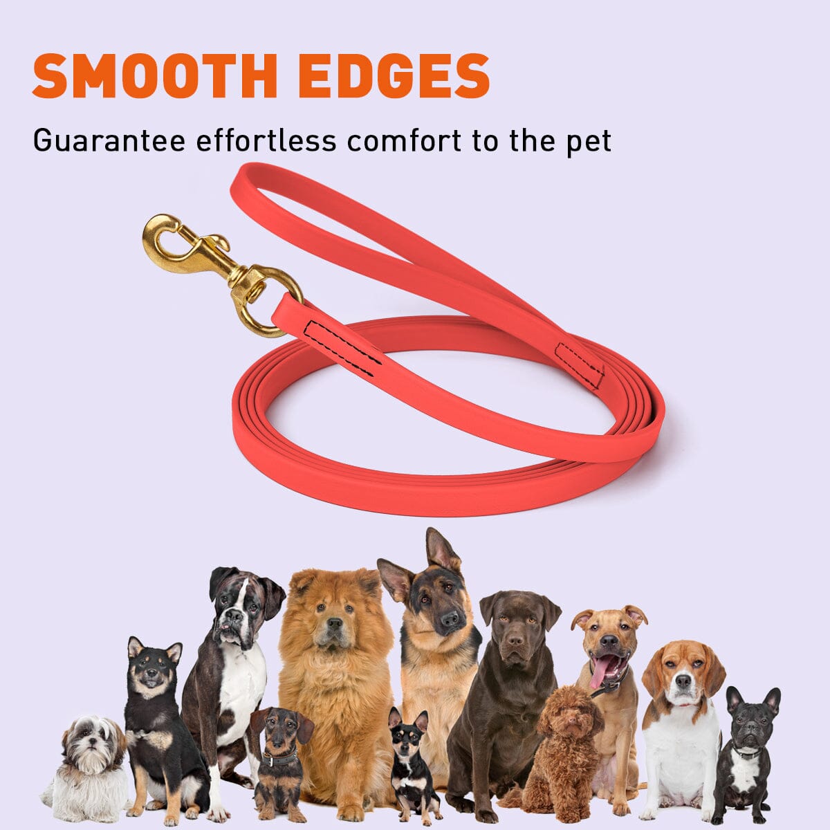 Viper Biothane Long Line 20 ft Lead with Brass Hardware