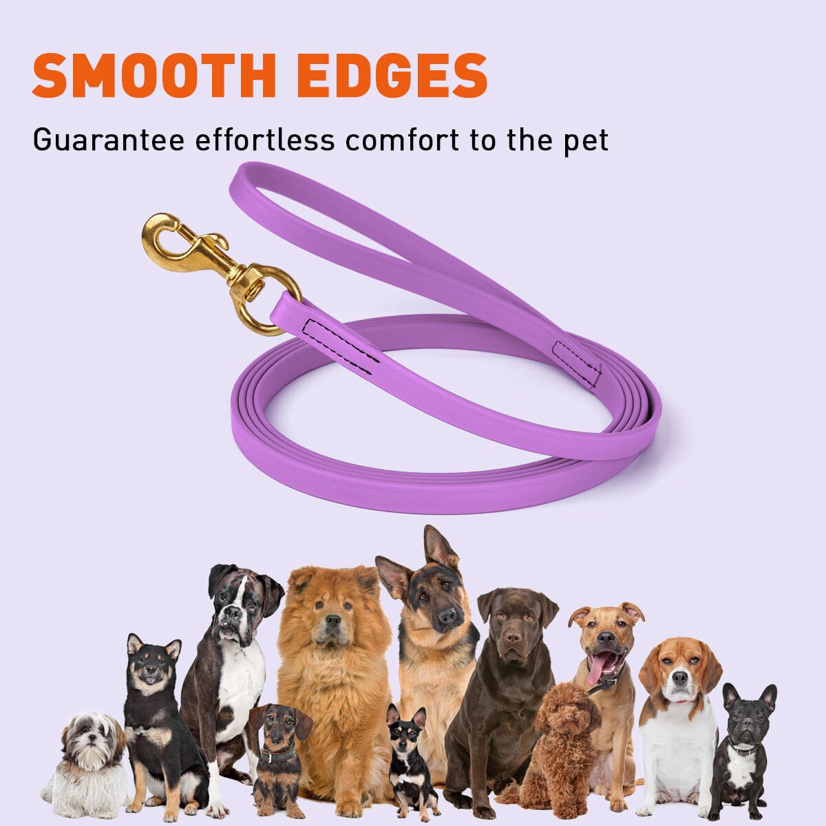 Viper Biothane Long Line 10 ft Lead with Brass Hardware