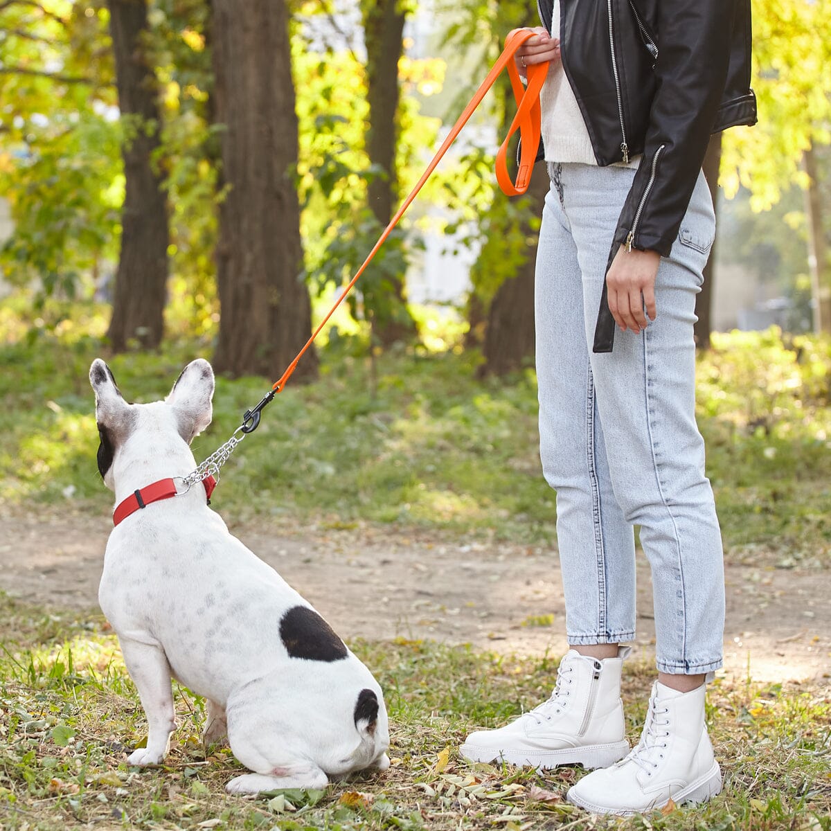 Biothane Waterproof Dog Leash 6 ft