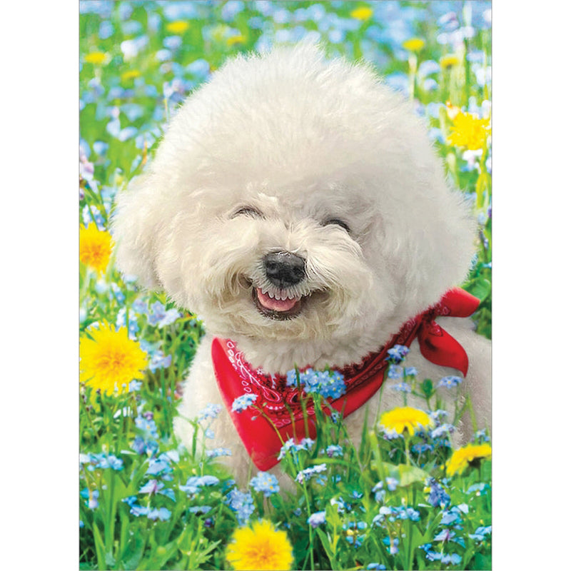 Avanti Happy White Dog In Flower Greeting Card