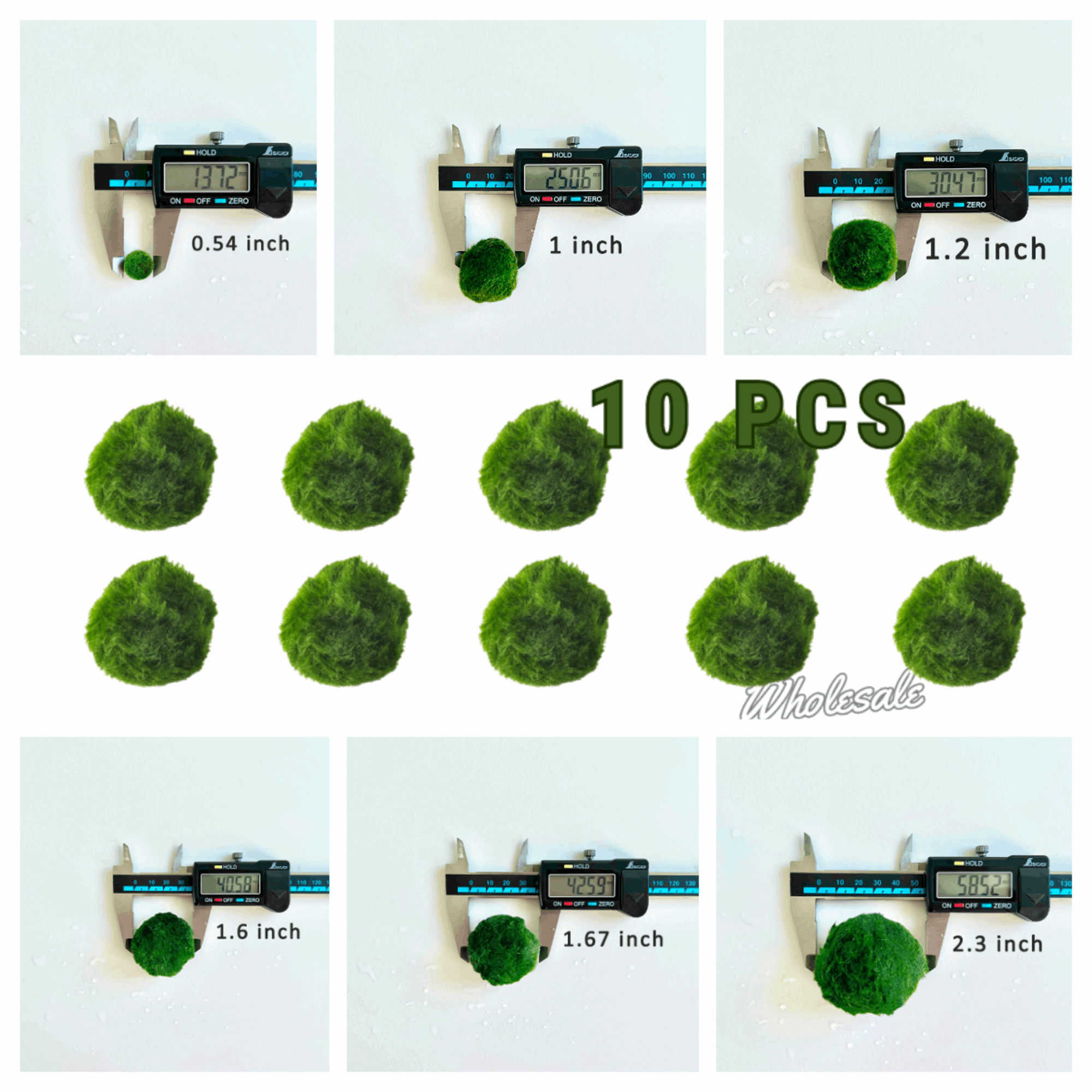 Marimo Moss Ball Aquarium 6-12 Month 0.8-1.5cm Marimo Moss Balls: 5/10/20/50PCS
