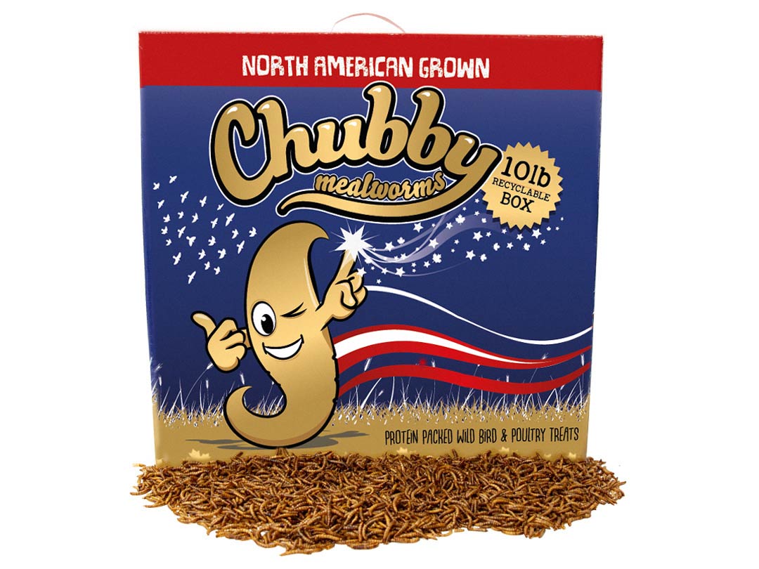 10Lbs Chubby NA Grown Dried Mealworms (Non-GMO)