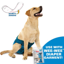 Paquete de 10 pañales desechables súper absorbentes para perros Four Paws Wee-Wee®