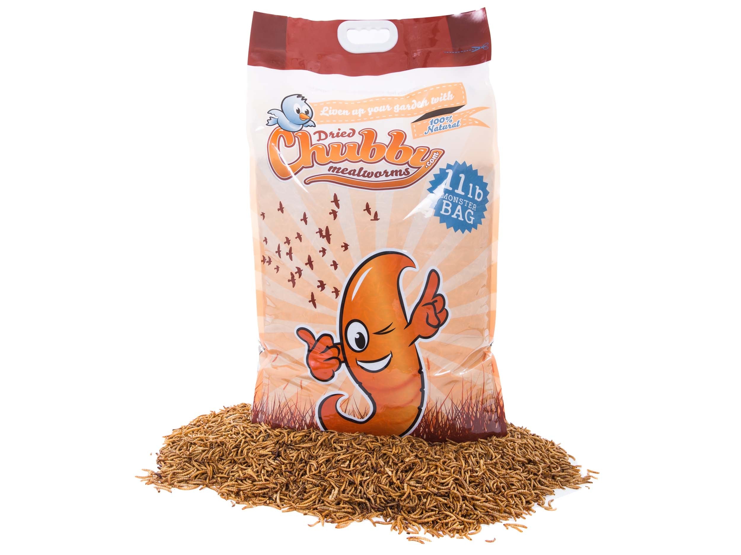 11Lbs Chubby Dried Mealworms