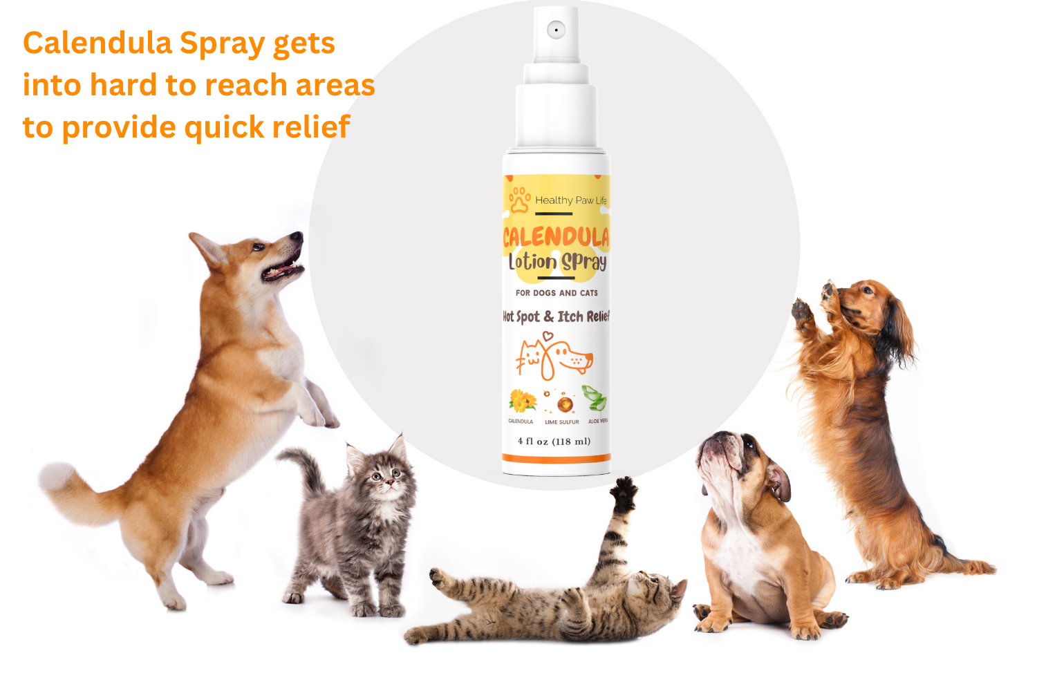 Healthy Paw Life - Calendula Lotion Spray