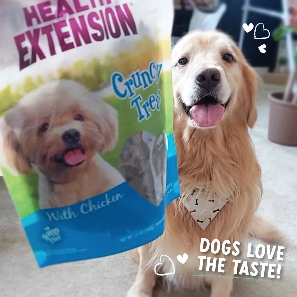 Health Extension Crunchy Heart Shaped Chicken Dog Treats (12oz)