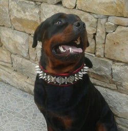 The "Steel" collar