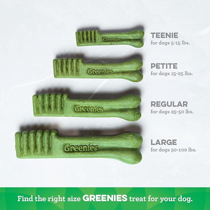 GREENIES DENTAL ORIGINAL D 12oz TEENIE