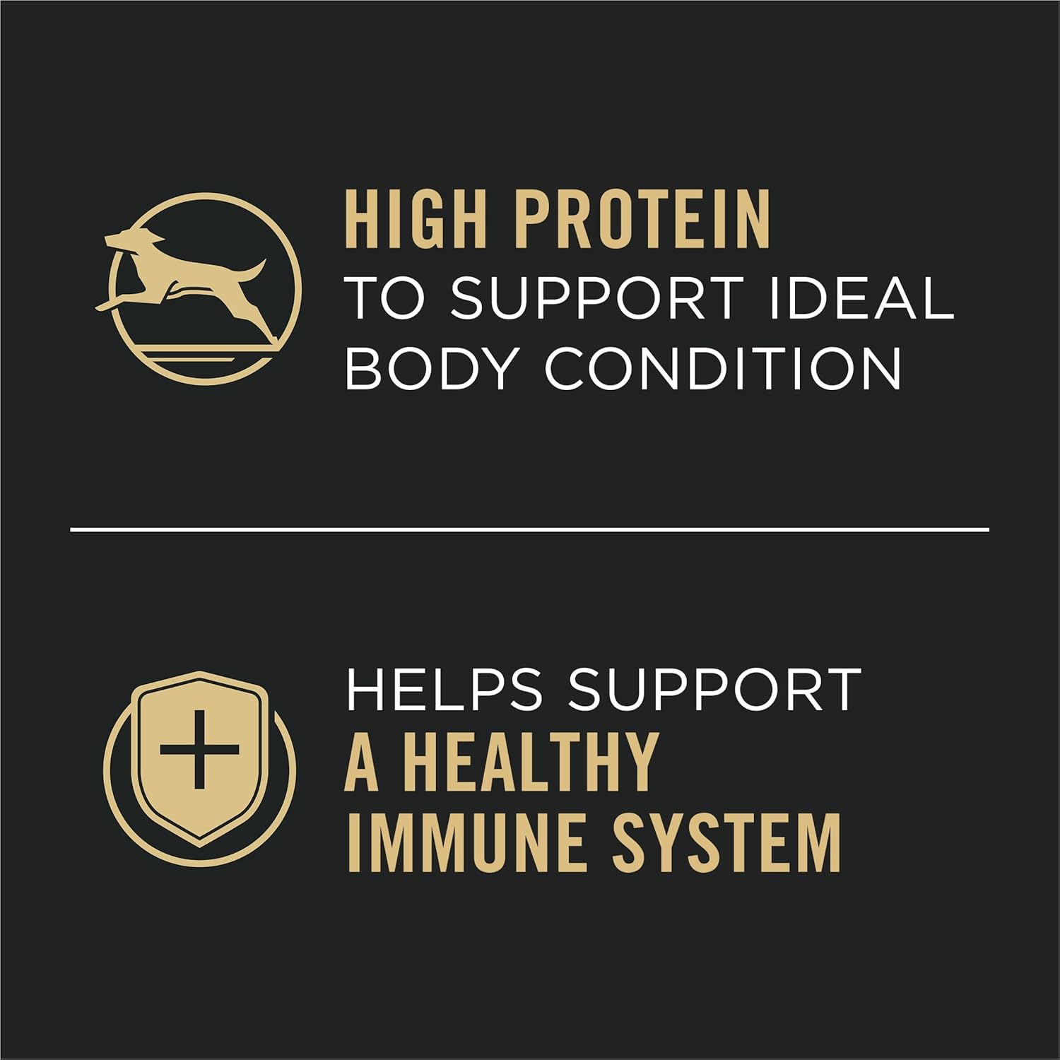 Pro Plan Complete Essentials Grain Free Entrée Turkey & Sweet Potato Entrée Classic Wet Dog Food (13oz)