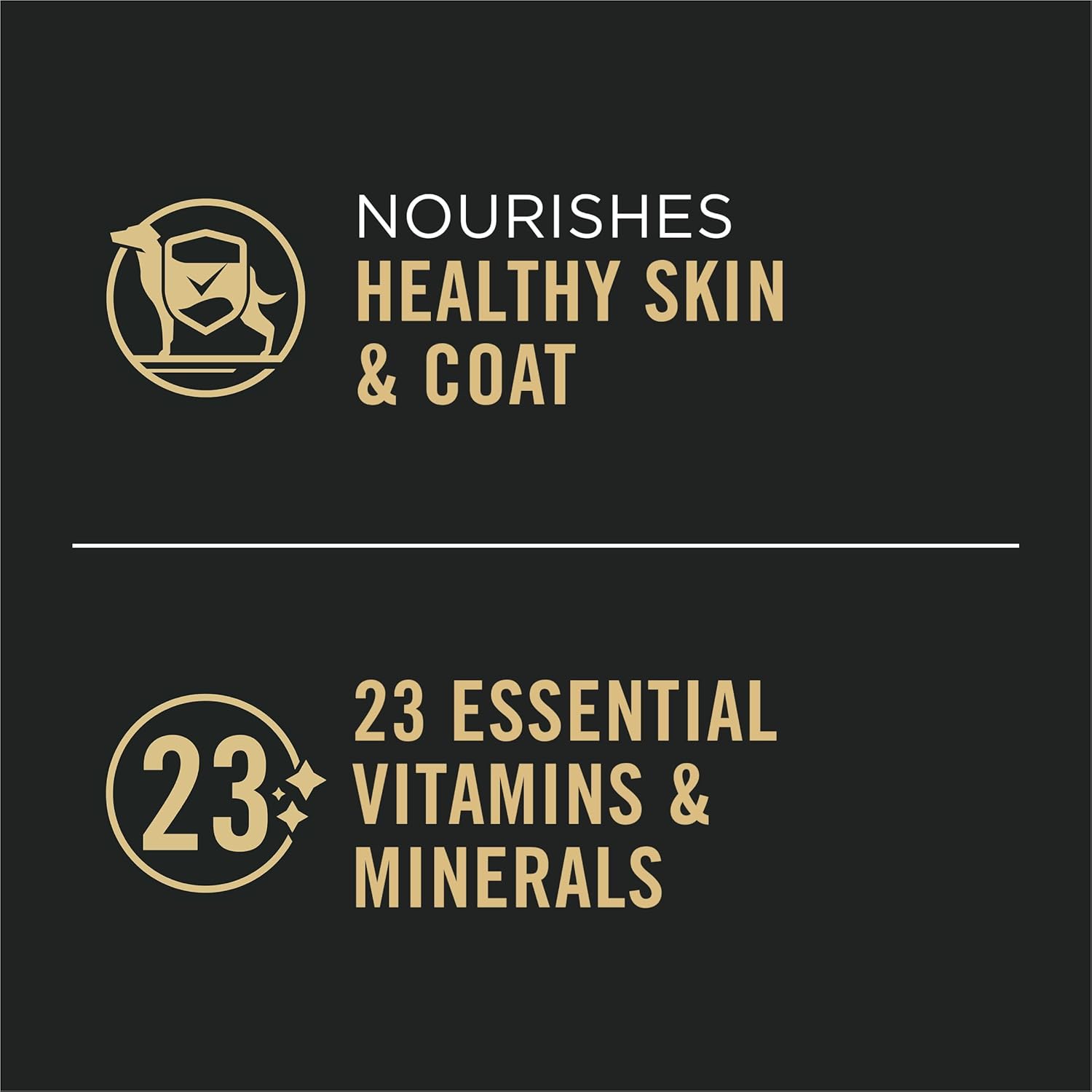 Pro Plan Complete Essentials Grain Free Entrée Turkey & Sweet Potato Entrée Classic Wet Dog Food (13oz)