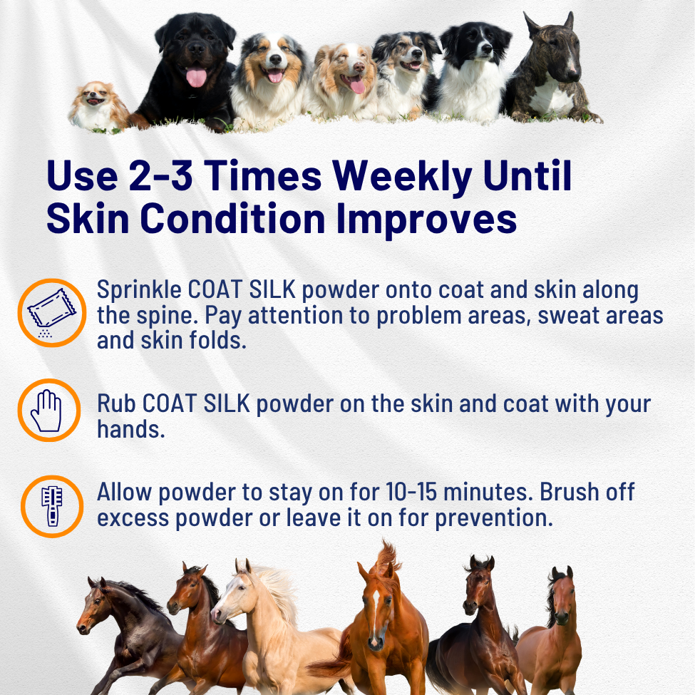 COAT SILK - Canine and Equine Dry Powder | Alleviate Odors and Itchiness | Relieves Rain Rot and Sweet Itch | Holistic Remedy and Soothing Formula | For Dogs and Horses