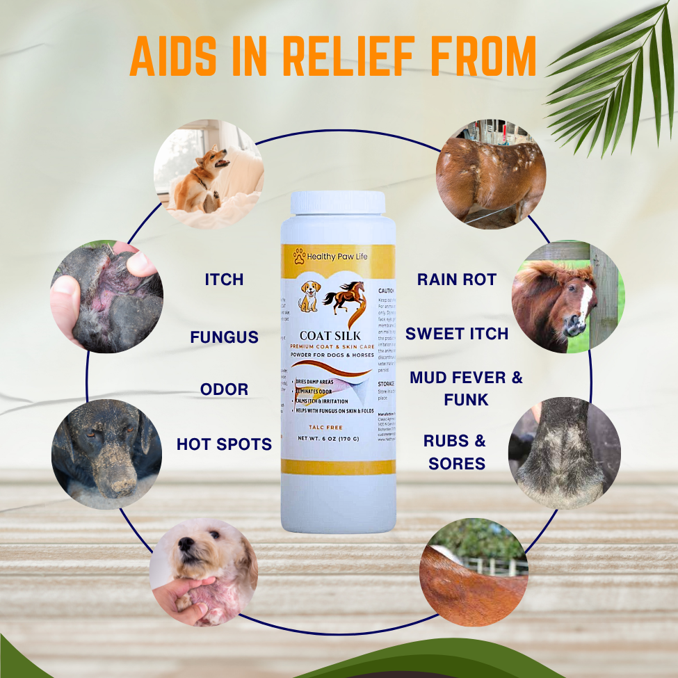 COAT SILK - Canine and Equine Dry Powder | Alleviate Odors and Itchiness | Relieves Rain Rot and Sweet Itch | Holistic Remedy and Soothing Formula | For Dogs and Horses